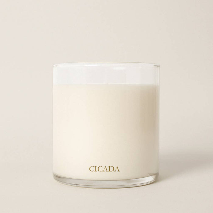 CICADA Autumnal Equinox large coconut soy fall candle with oud, tobacco and spiced honey