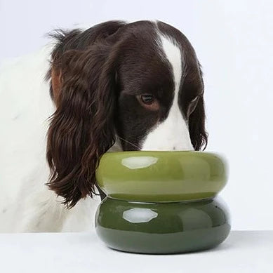 Pet Feeding Bowl