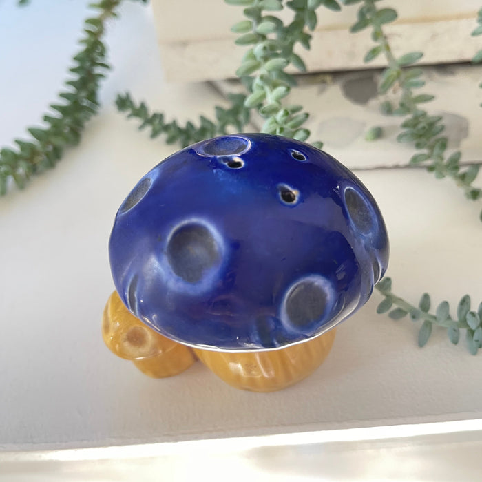 Vintage Blue Mushroom Salt & Pepper Shaker