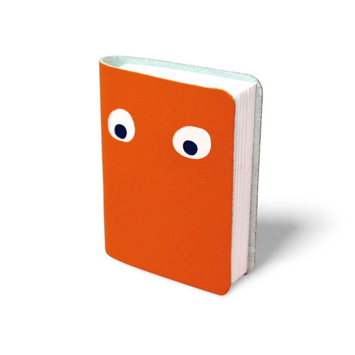 Googly Eye Mini Notebook