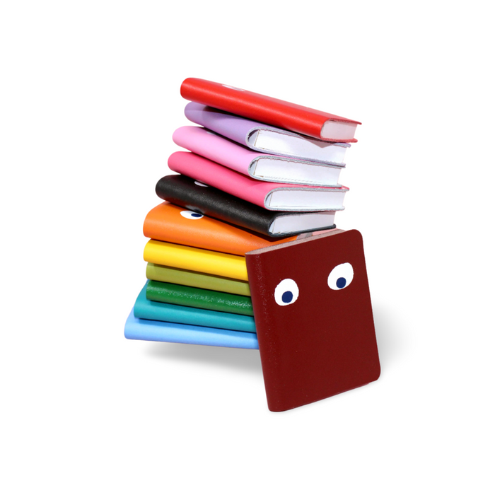 Googly Eye Mini Notebook