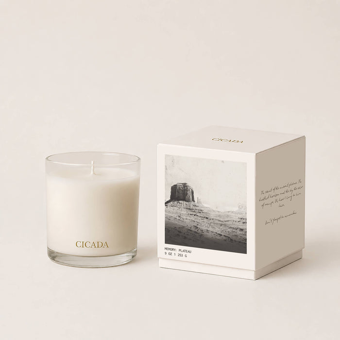 CICADA Plateau coconut soy candle with pine, wild sage, citrus and smoky palo santo