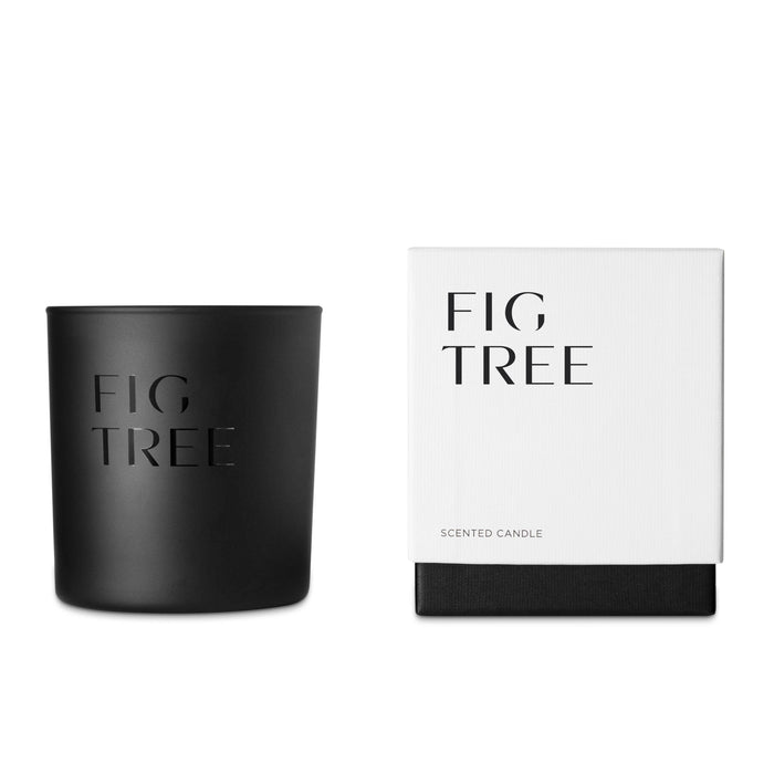 Fig Tree Candle